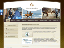 Tablet Screenshot of horsevet.ie